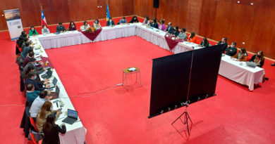 Gabinete Regional ampliado sesionó en Puerto Natales
