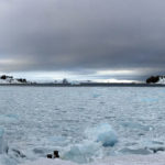 Científicos registran temperaturas “relativamente cálidas” durante campaña Antártica